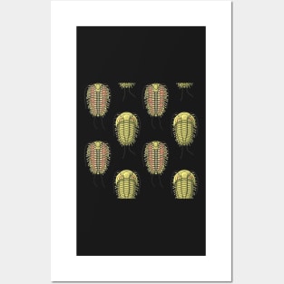 Trilobite Illustration Pattern Posters and Art